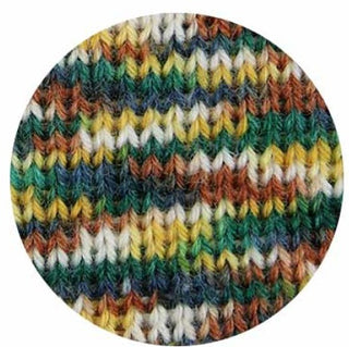 「PLUS WOOL（プラスウール）」ボタニックガーデンシリーズのソックヤーン。グラジオラス（Gladiolus）をイメージした、イエロー、グリーン、ダークブルーのマルチカラー段染め（グラデーション）。編地｜やお工房